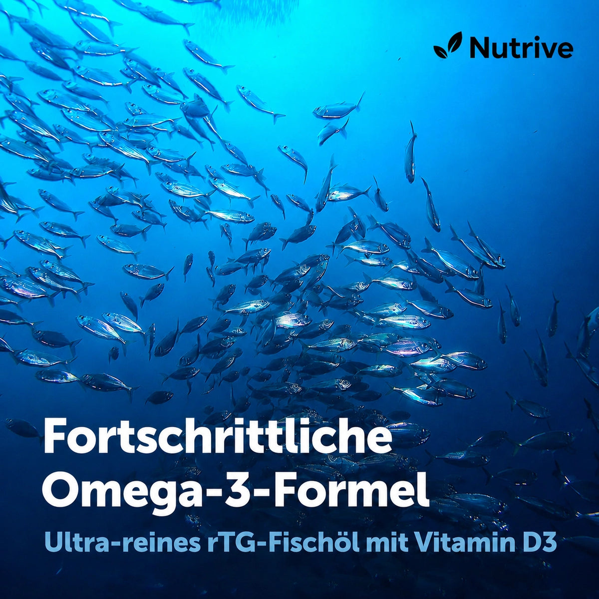 Micro Ingredients Supreme Omega-3-Fischöl mit extrem hohem EPA- und DHA-Gehalt, Softgels ohne Aufstoßen